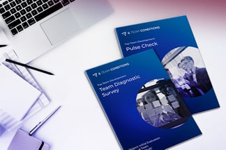 Брошюры Team Diagnostic Survey и Pulse Check